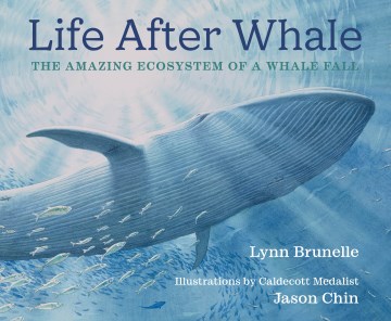 Life After Whale : The Amazing Ecosystem of a Whale Fall
