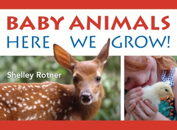 Baby Animals! : Here We Grow