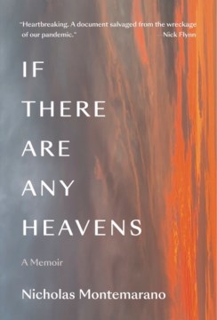 If there are any heavens : a memoir