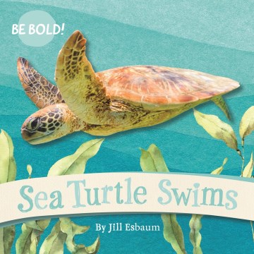 Sea Turtles Swim