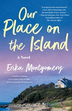 Our place on the island : a novel