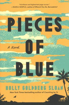 Pieces of blue / Holly Goldberg Sloan.