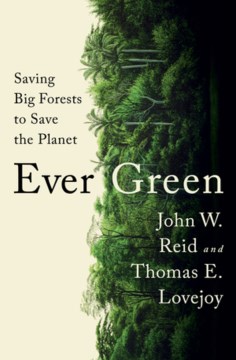 Ever green : saving big forests to save the planet
