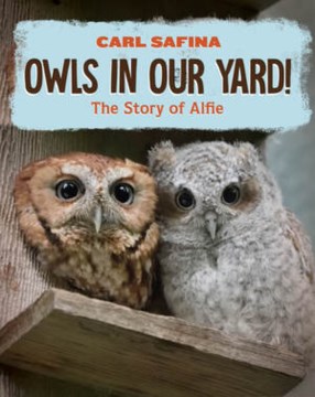 Owls in Our Yard! : The Story of Alfie
