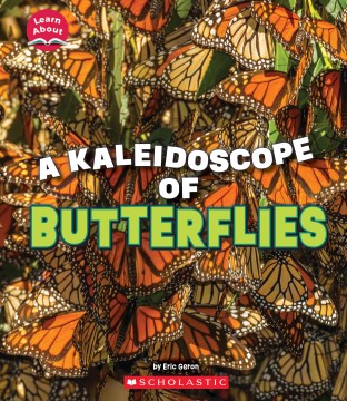 A kaleidoscope of butterflies