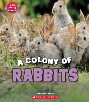 A fluffle of rabbits