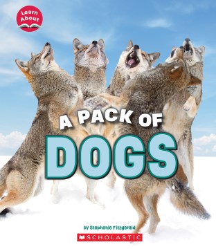 A pack of dogs
