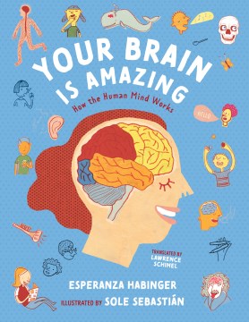 Your Brain Is Amazing : How the Human Mind Works