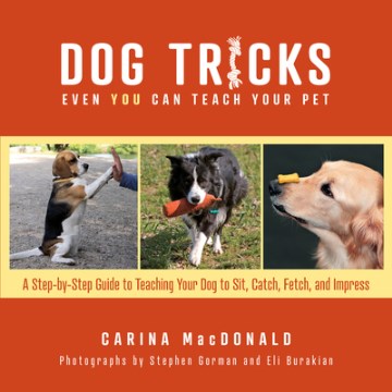 Dog tricks even you can teach your pet : a step-by-step guide to teaching your pet to sit, catch, fetch, and impress / Carina MacDonald ; technical review by Elizabeth Bunting, VMD ; photographs by Eli Burakian, Stephen Gorman.