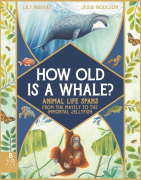 How Old Is a Whale? : Animal Life Spans from the Mayfly to the Immortal Jellyfish