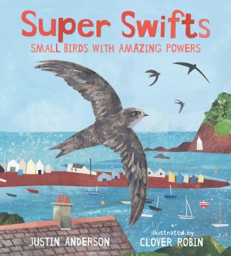 Super Swifts : Small Birds With Amazing Powers