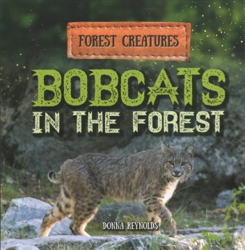 Bobcats in the Forest