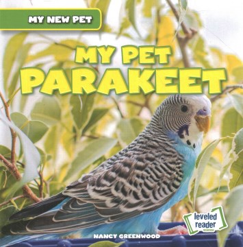 My Pet Parakeet