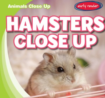 Hamsters Close Up