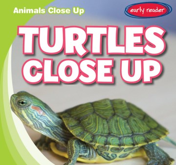 Turtles Close Up