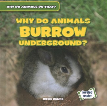 Why Do Animals Burrow Underground?