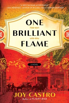 One brilliant flame : a novel