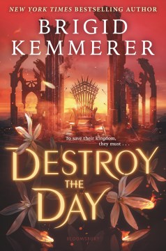 Destroy the day / Brigid Kemmerer.