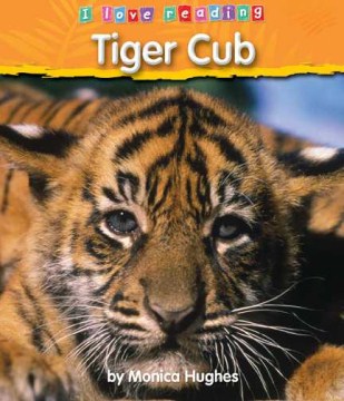 Tiger cub / by Monica Hughes.