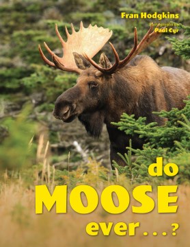 Do moose ever . . .?