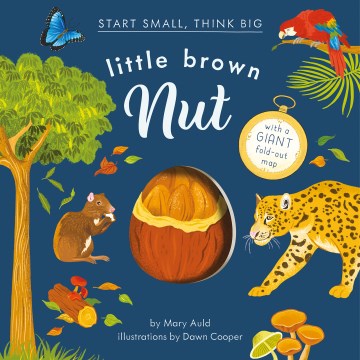 Little Brown Nut