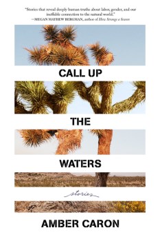 Call up the waters : stories