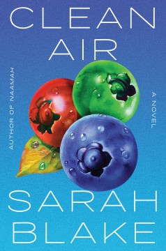 Clean air : a novel