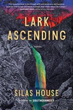 Lark ascending : a novel