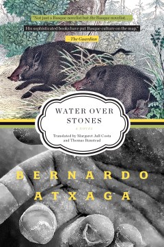 Water over stones : a novel / Bernardo Atxaga ; translated from the Spanish by Margaret Jull Costa and Thomas Bunstead.