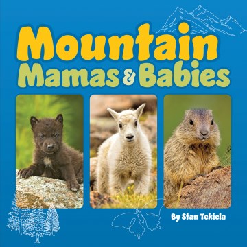 Mountain mamas & babies