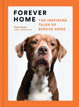 Forever home : the inspiring tales of rescue dogs