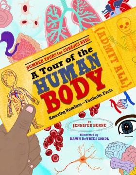 A tour of the human body : amazing numbers-fantastic facts
