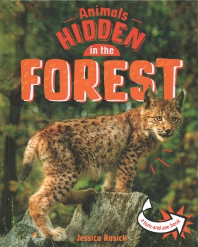 Animals hidden in the forest