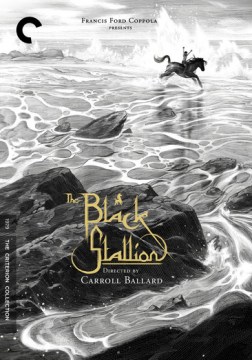 The black stallion, [Criterion Collection]