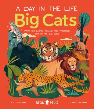 Big cats : what do lions, tigers, and panthers get up to all day?