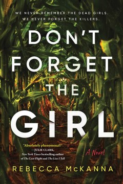 Don't forget the girl : a novel