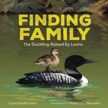 Finding Family : The Duckling Raised by Loons