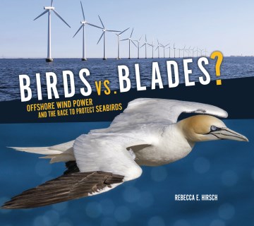 Birds Vs. Blades? : Offshore Wind Power and the Race to Protect Seabirds