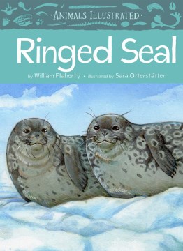 Ringed seal