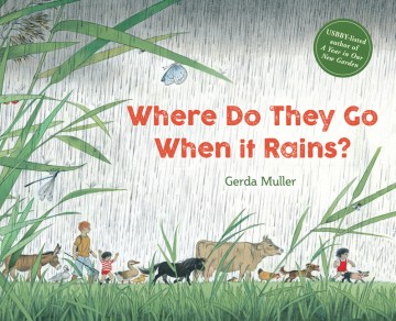 Where do they go when it rains? / Gerda Muller