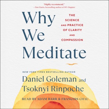 Why we meditate [electronic resource] : the science and practice of clarity and compassion / Daniel Goleman and Tsoknyi Rinpoche.
