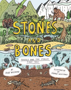 Stones and Bones : Fossils and the Stories They Tell