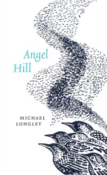 Angel hill / Michael Longley.