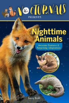 The Nocturnals Nighttime Animals : Awesome Features & Surprising Adaptations