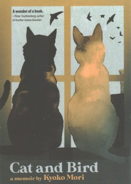 Cat and Bird