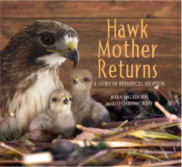 Hawk Mother Returns : A Story of Interspecies Adoption