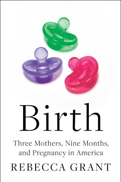 Birth : three mothers, nine months, and pregnancy in America / Rebecca Grant.