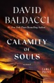 A calamity of souls [Large Print Edition]
