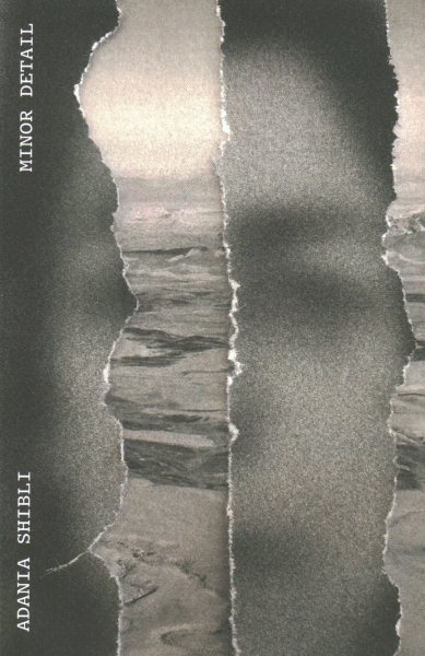 Cover of Minor Detail