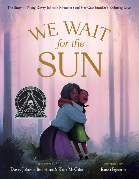 Cover of We Wait for the Sun